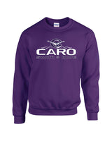 #13 Caro Swim Crewneck Sweatshirt Purple